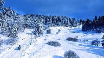 Коттедж Бакуриани Кохта_4