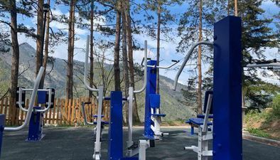 მწვანე სახლი ბორჯომში_5