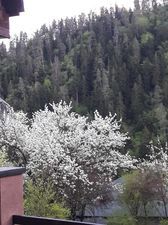 Коттедж в Ликани_3