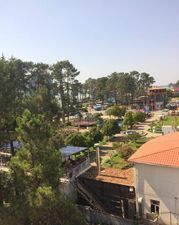 დავითი_2