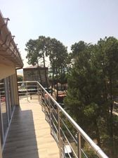 დავითი_3