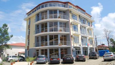 დავითი_9