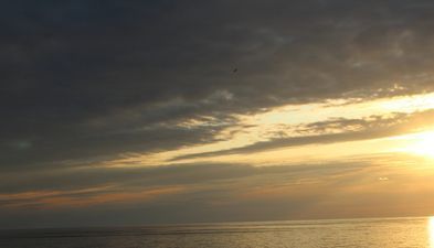 ორბი რეზიდენსის აპარტამენტები_5