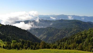 ზვიადის  საოჯახო სასტუმრო_5