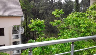 შავი ზღვის სიზმარი_7