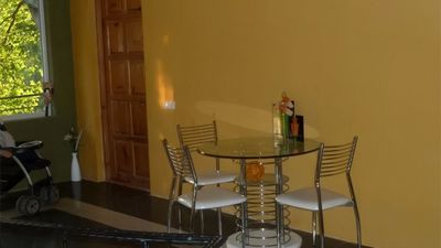 მწვანე სახლი_4