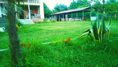 ეკო ლუქსი_2