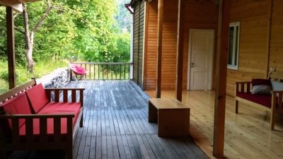 ტიმოთესუბანი_5