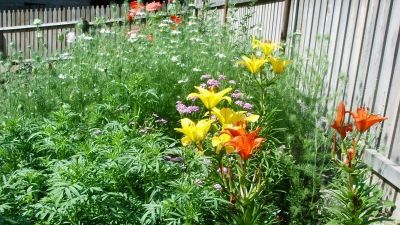 ეკო კოტეჯები_9