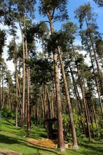 ლიკანი-ჰაუსი_7