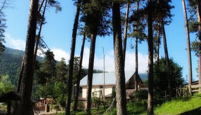 ლიკანი-ჰაუსი_8