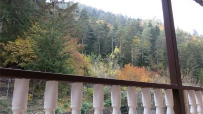 ლიკანში_3