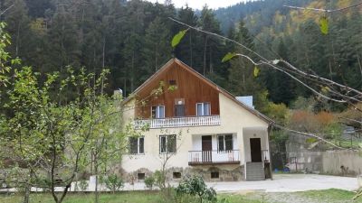 ლიკანში_9