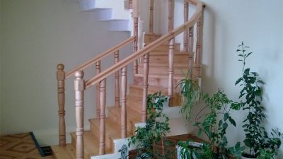 მაგნოლია_4