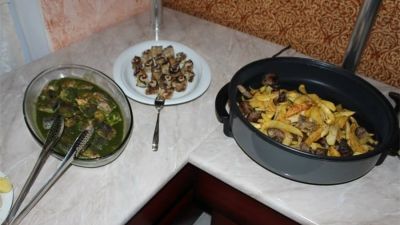 თრეველ ინნ ბაკურიანი_8