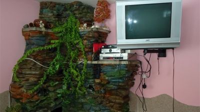 სანდრო პაპა_5