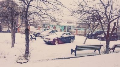 სანდრო პაპა_7