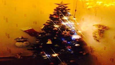 ბარლეონი_3