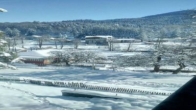 ბარლეონი_7