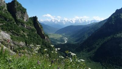 დალი ქალდანი_3