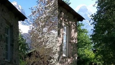 დალი ქალდანი_4