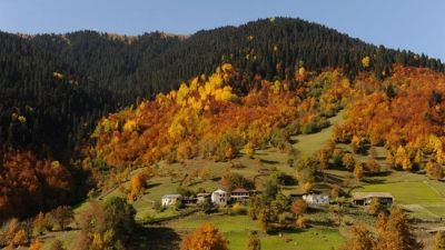 მურკვამი_3