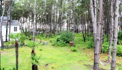 დავითი_5