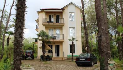 დავითი_6