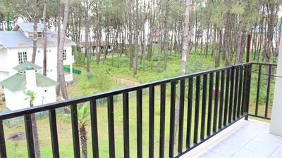 დავითი_7