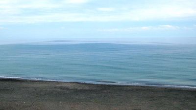 დავითი_8