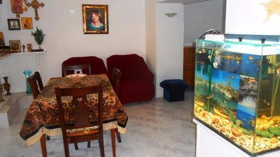 Нели Телави_8