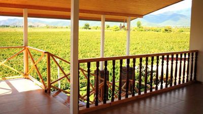 შალოშვილის მარანი_3