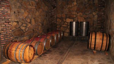 შალოშვილის მარანი_6