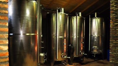 შალოშვილის მარანი_7