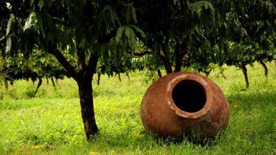 შალოშვილის მარანი_9