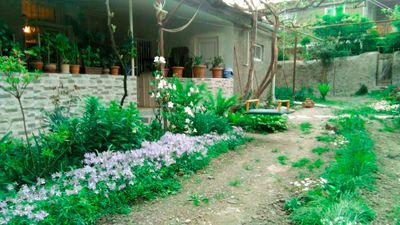 დურუჯი_6