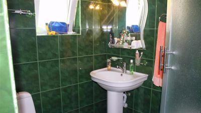 Зелёная роза_2