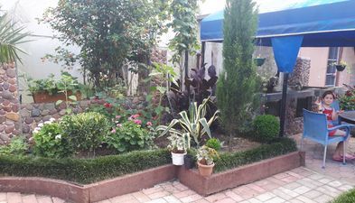 რომან/გონიო_3