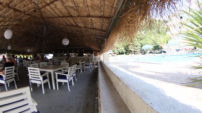 მართინი_3