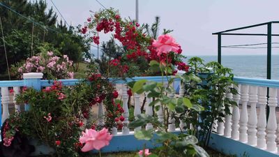 სანაპირო_4