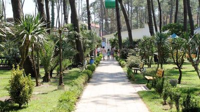 მირაჟი_2