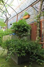 კივის სახლი_8