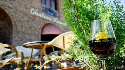 შატო ყვარელი_6