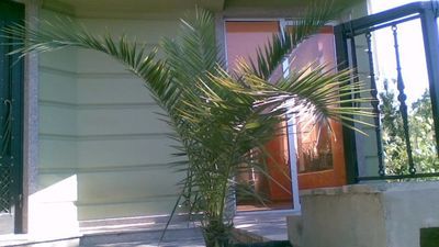 ამიგო II_8