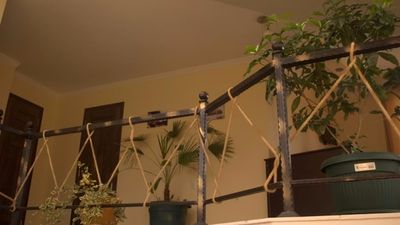 ამიგო II_9