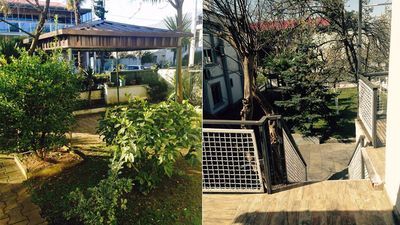 ტერემოკი_2