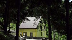 Borjomi Forest 10