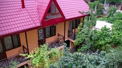 ნიცა 15