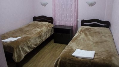 ძნელაძე_8