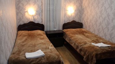 ძნელაძე_9